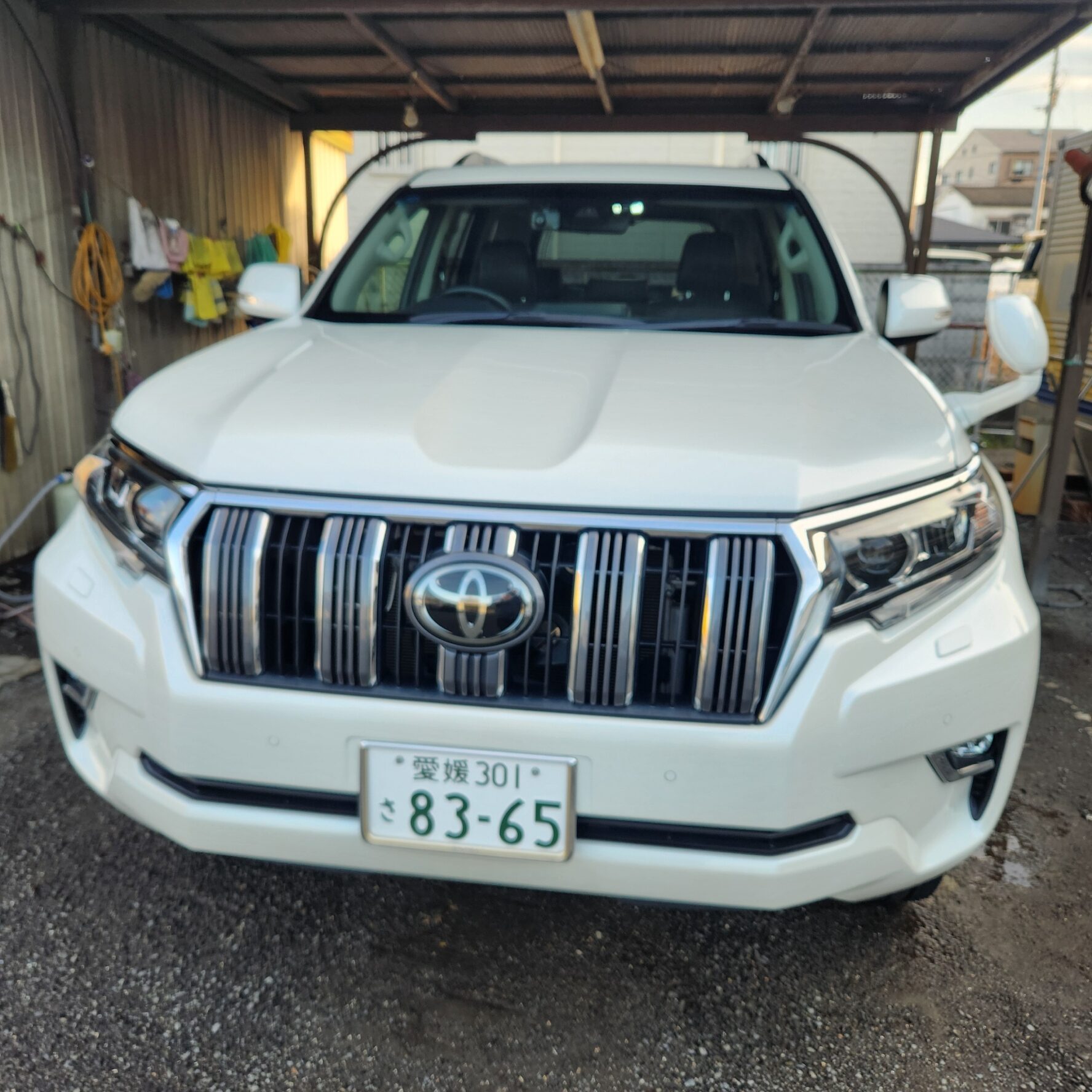 ランクルプラドにカルフェチ塗ってみた