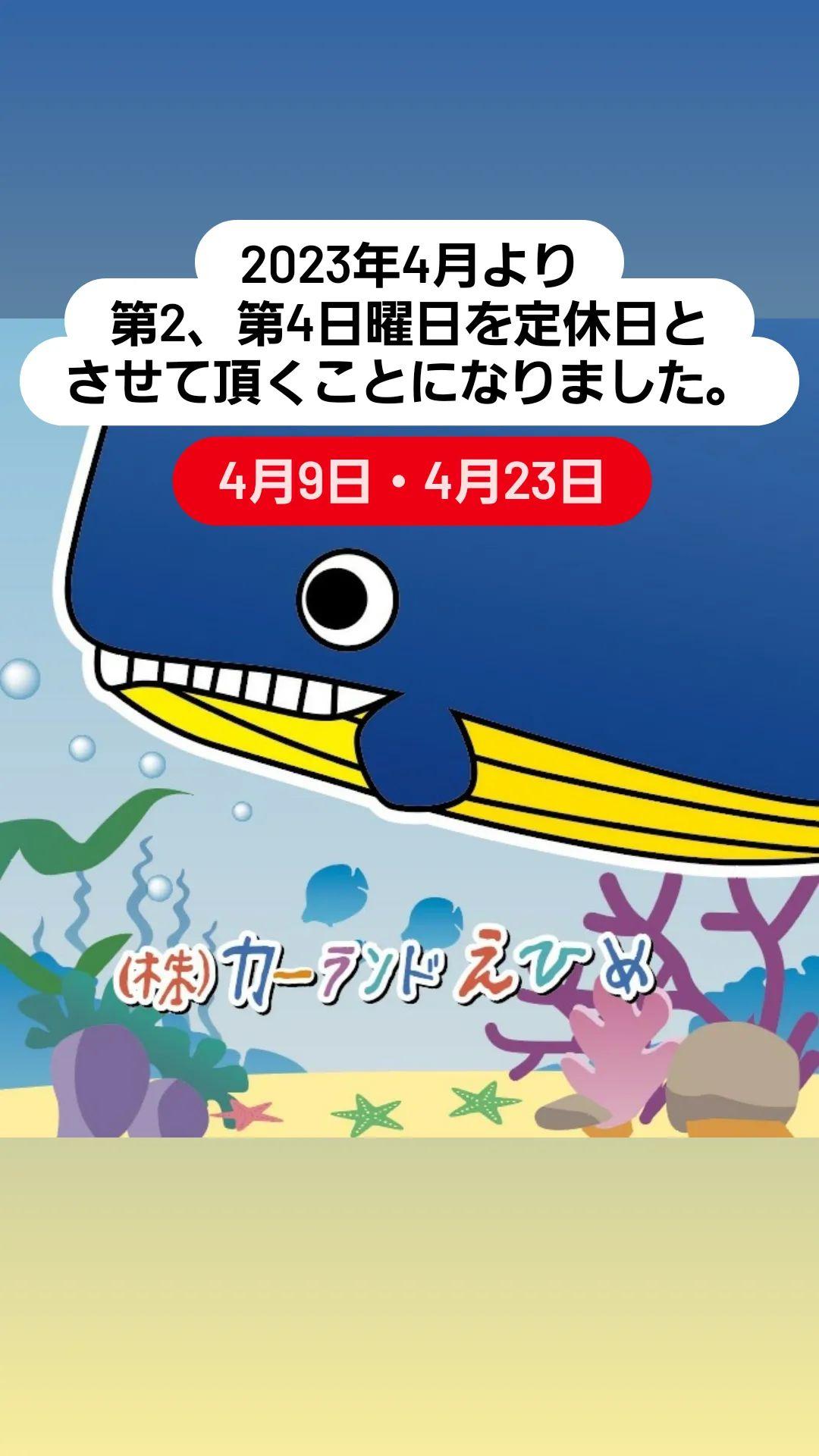 定休日のお知らせ