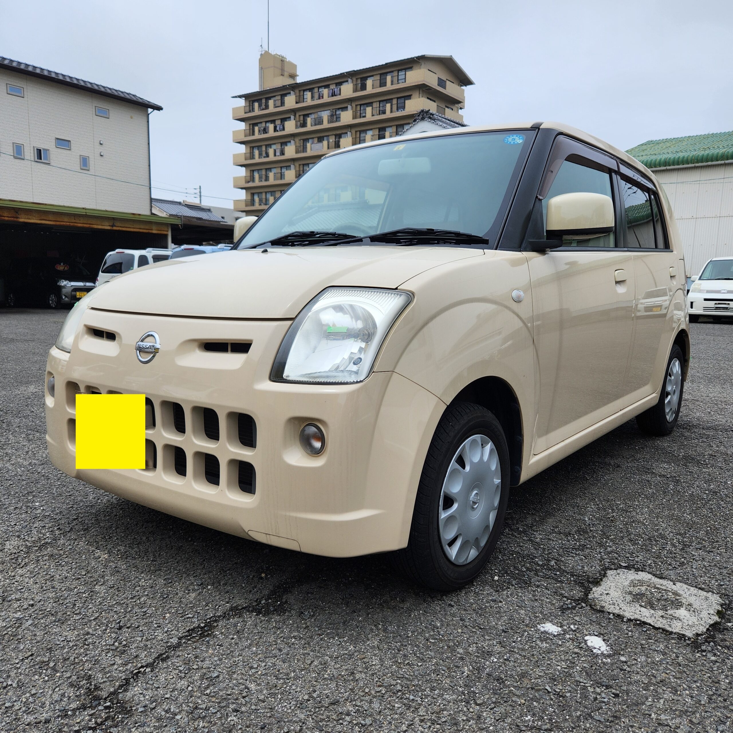 ピノ買取しました